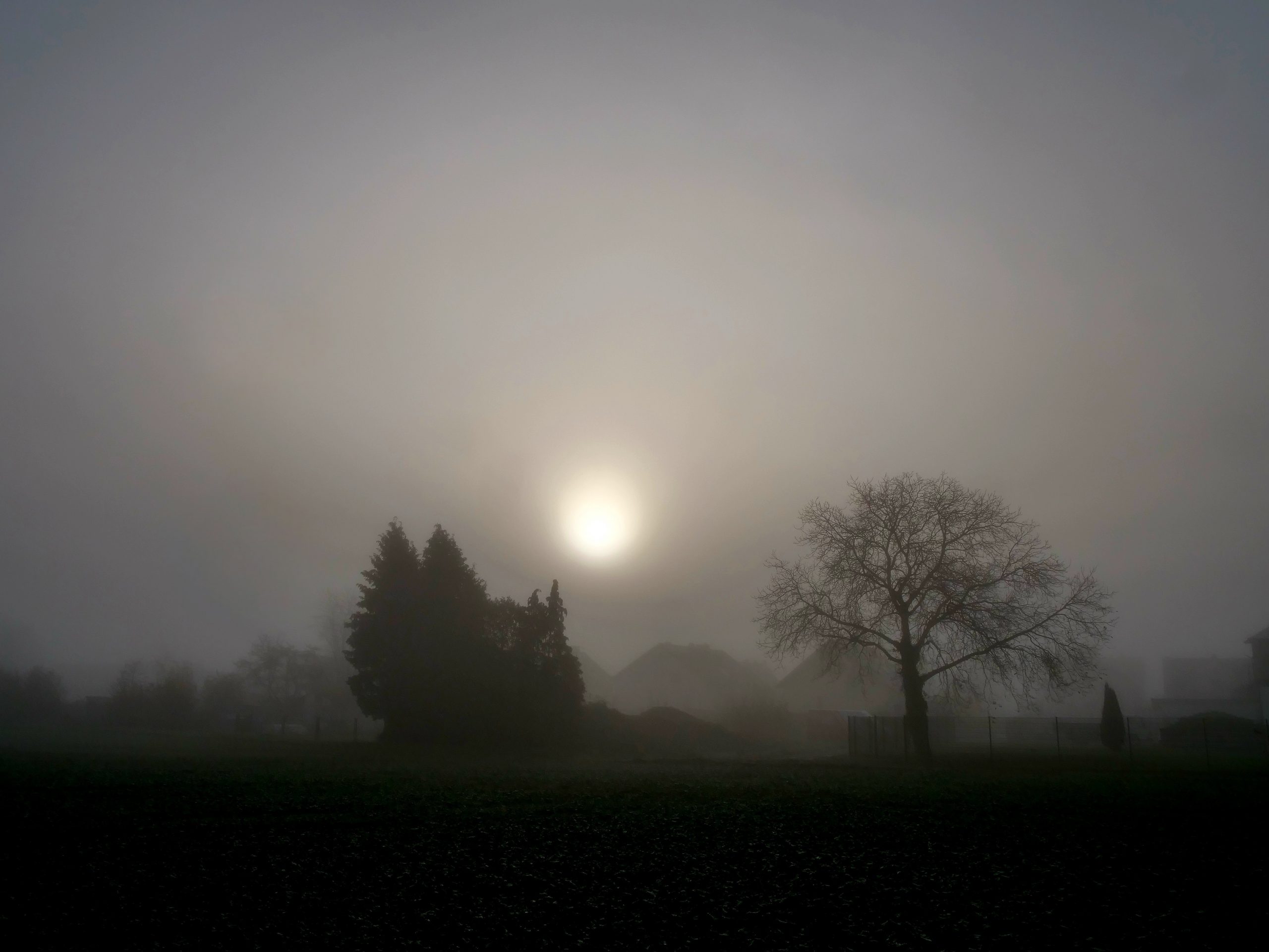 Obbornhofen bei Nebel