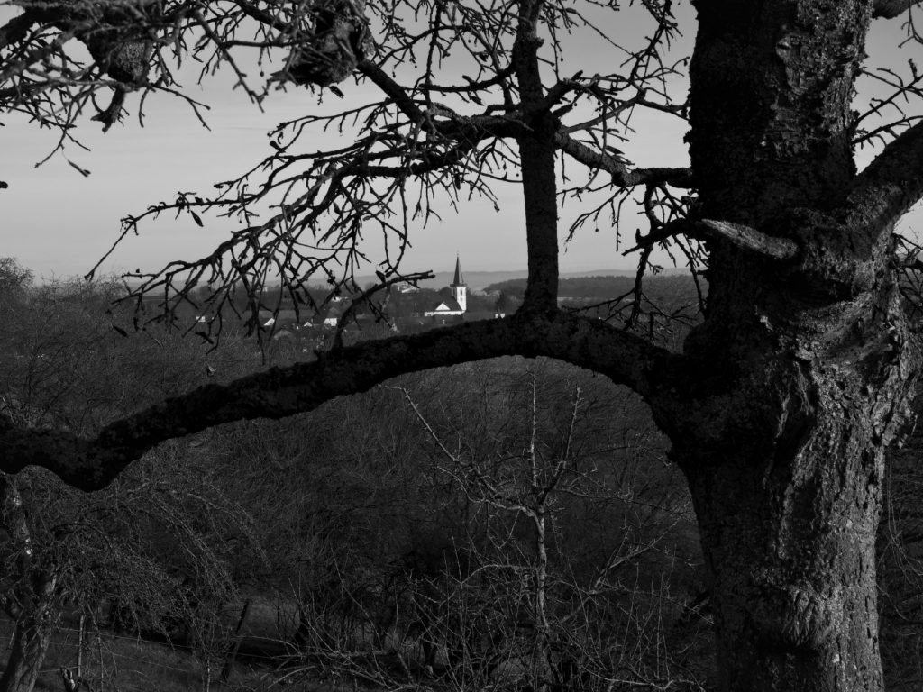 Bellersheim. Kirche im Fokus zwischen Ästen. 