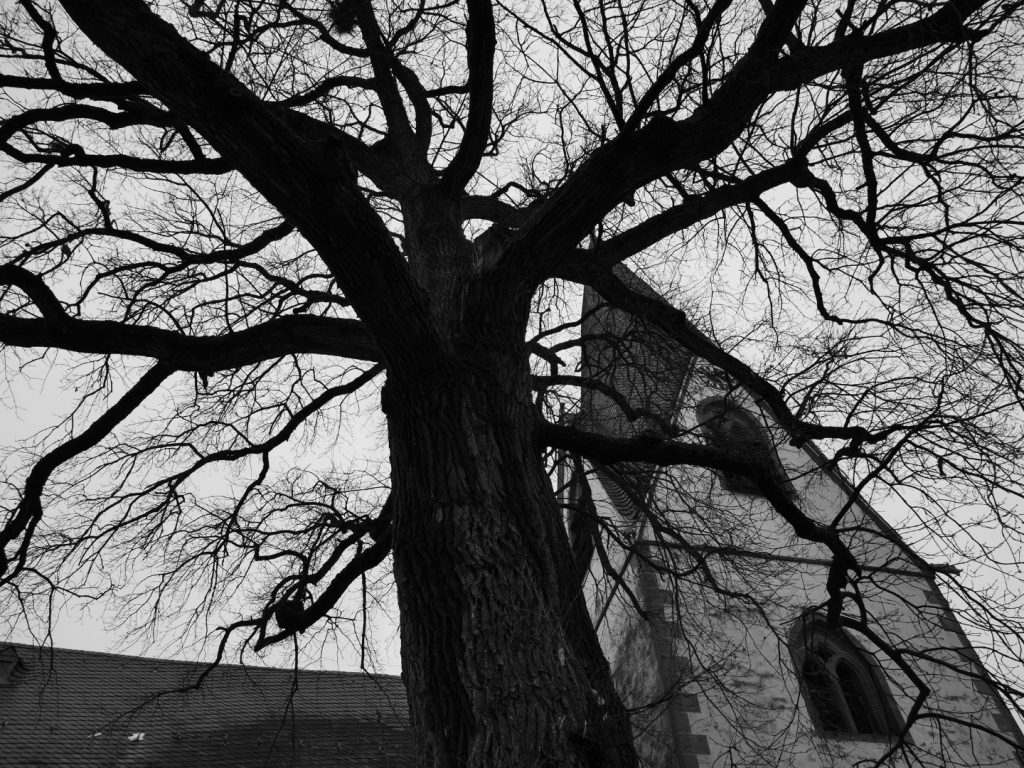 Kirche in Münzenberg