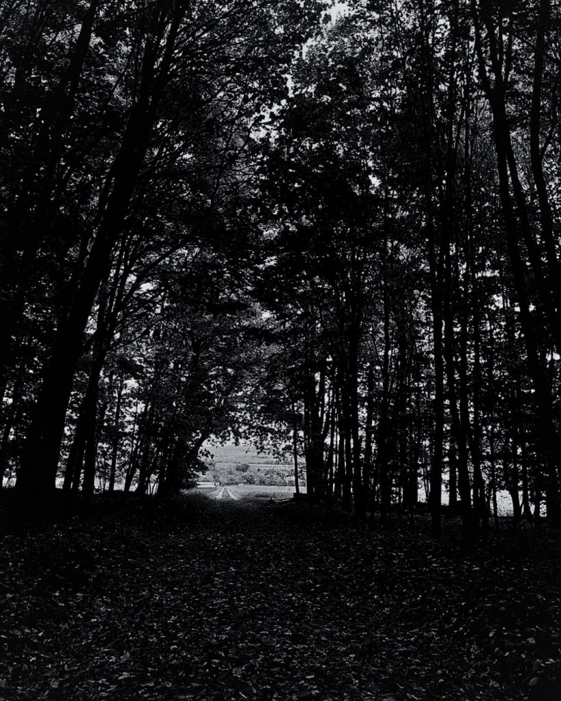 Blick in Richtung Obbornhofen