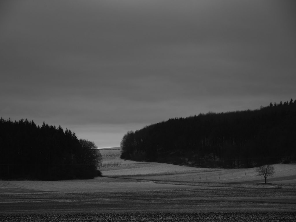 Zwischen Bellersheim und Bettenhausen