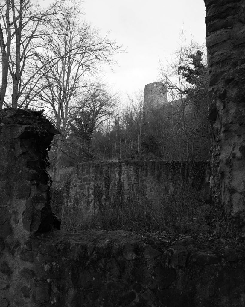 Ruine Münzenburg. 
