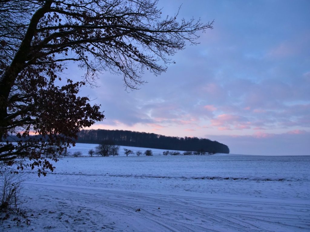 Blick vom Sportheim Obbornhofen