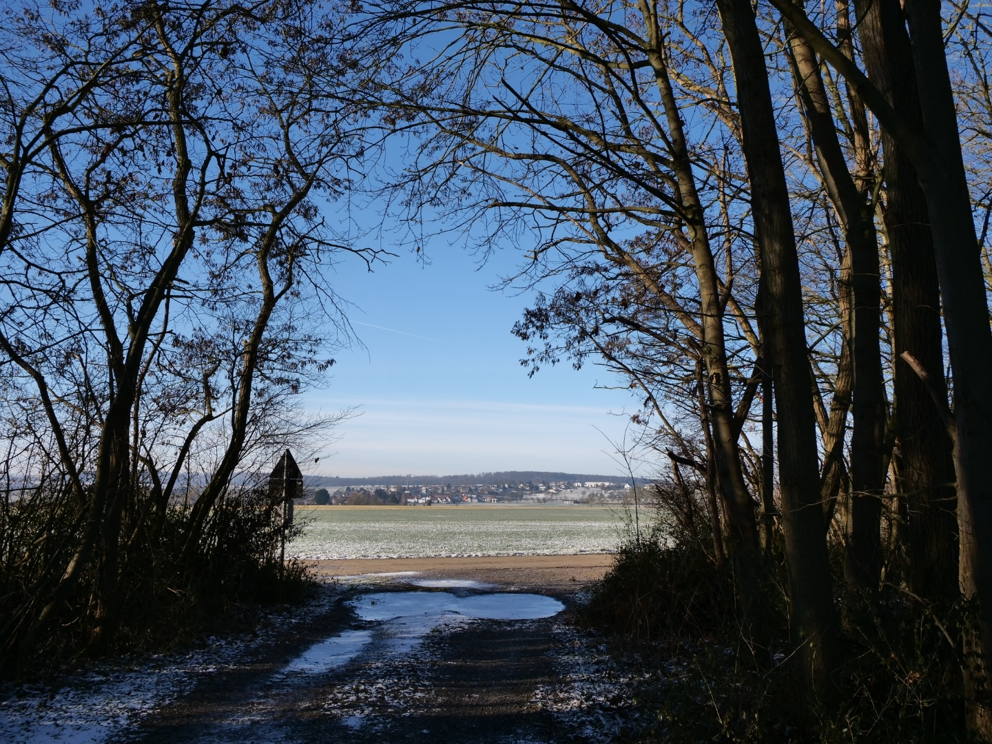 Blick vom Sachsensee nach Obbornhofen
