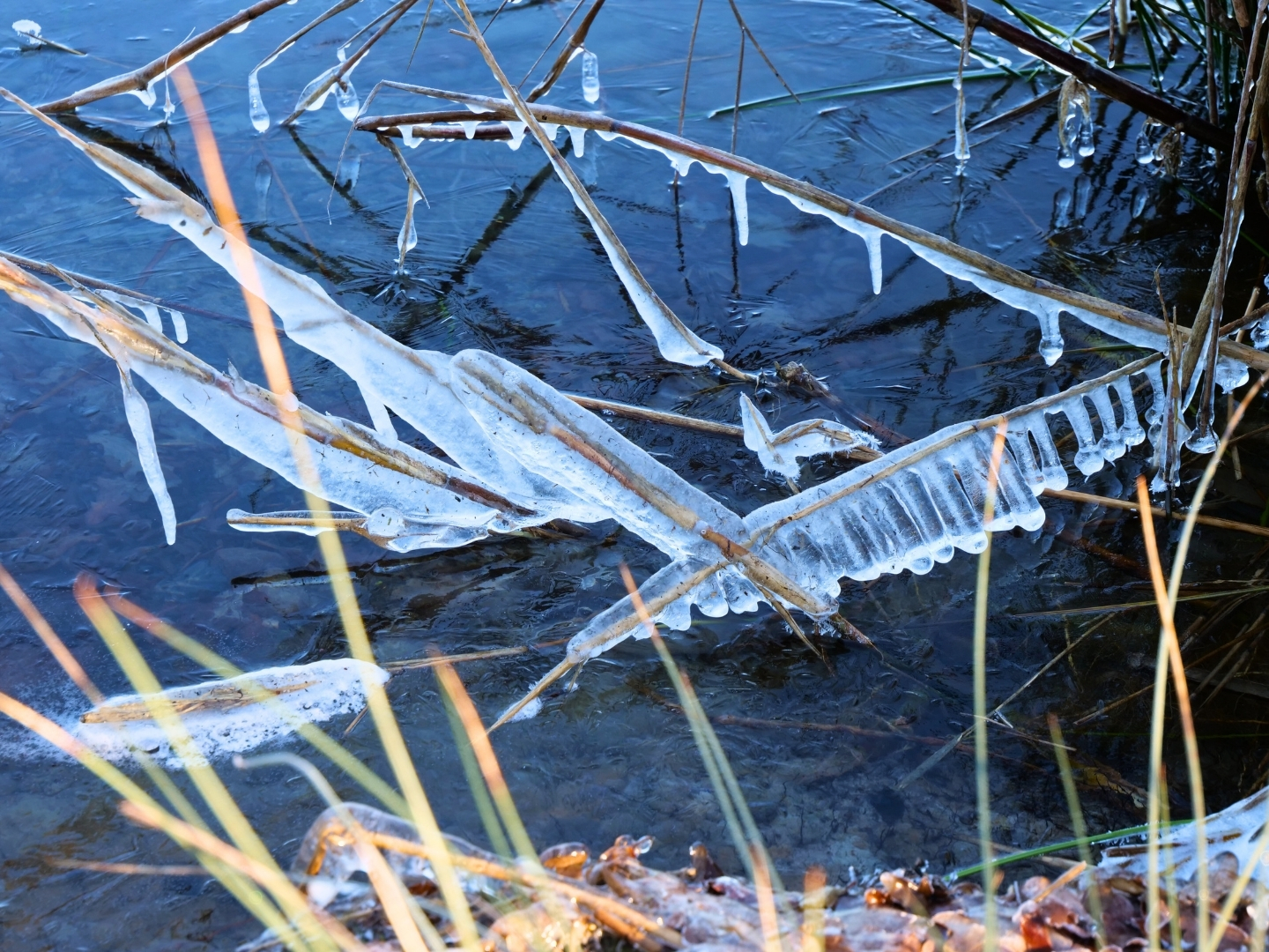 Eiskristalle Sachsensee. 