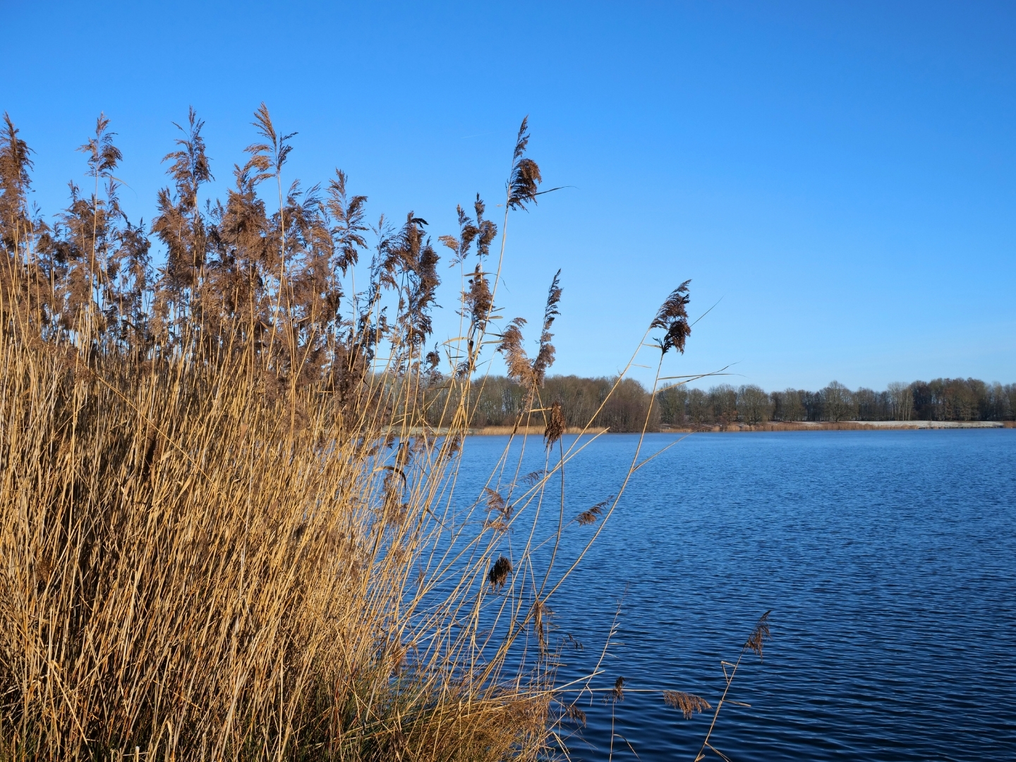 Sachsensee bei Obbornhofen. 