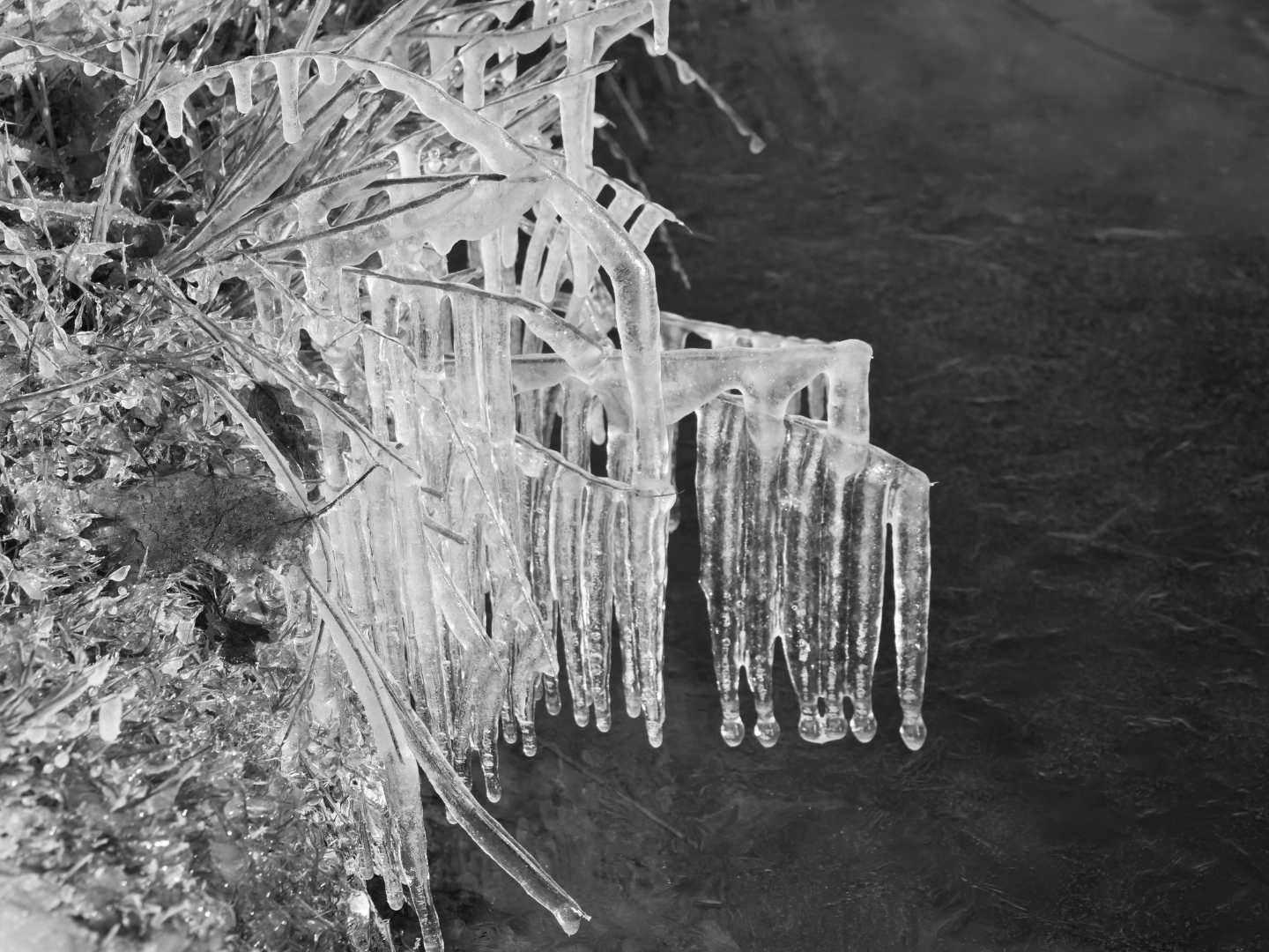 Eiskristalle Sachsensee. 