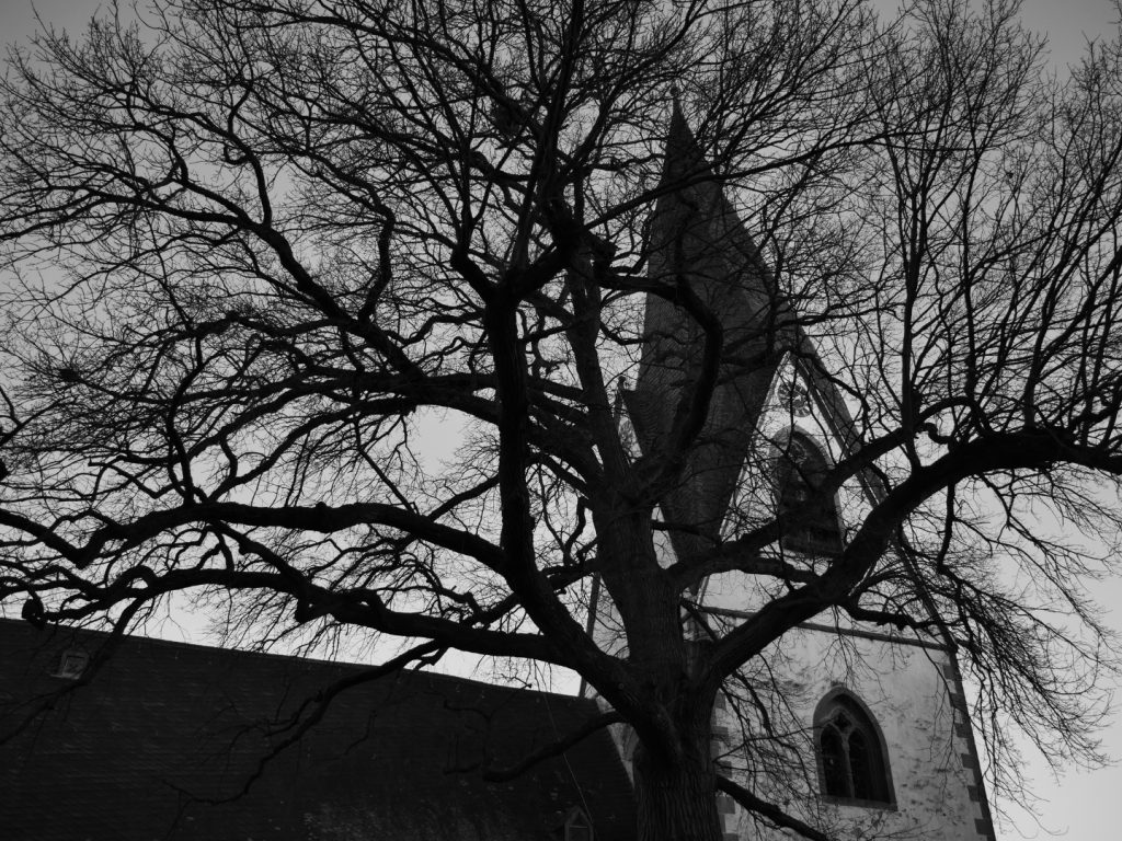 Kirche in Münzenberg