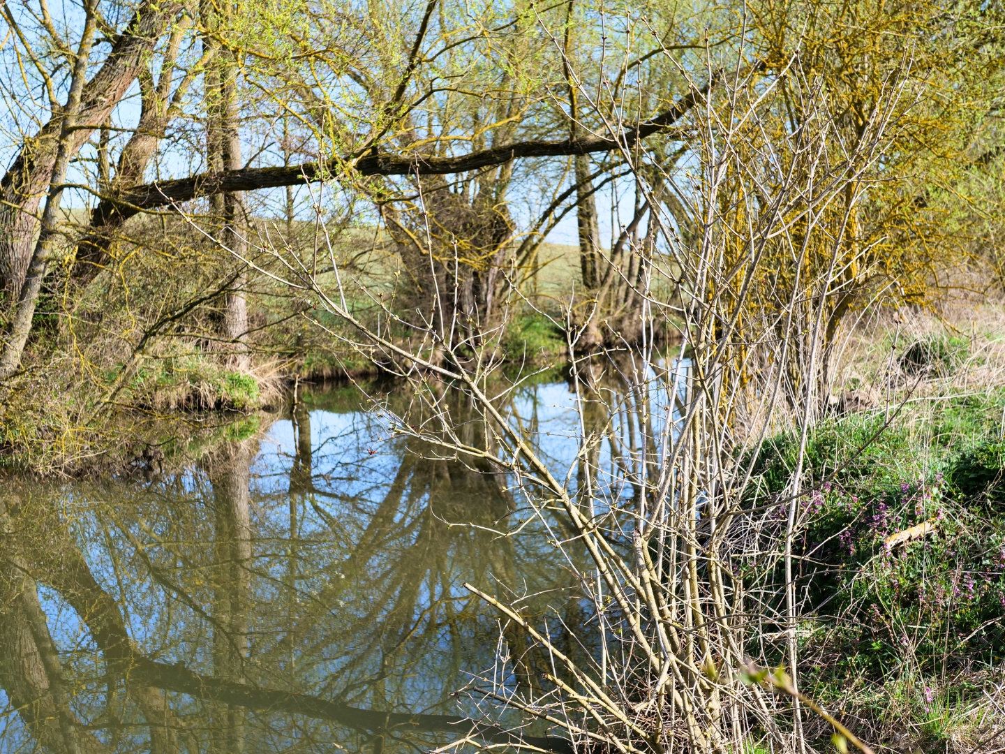 An der Wetter in Trais-Münzenberg.