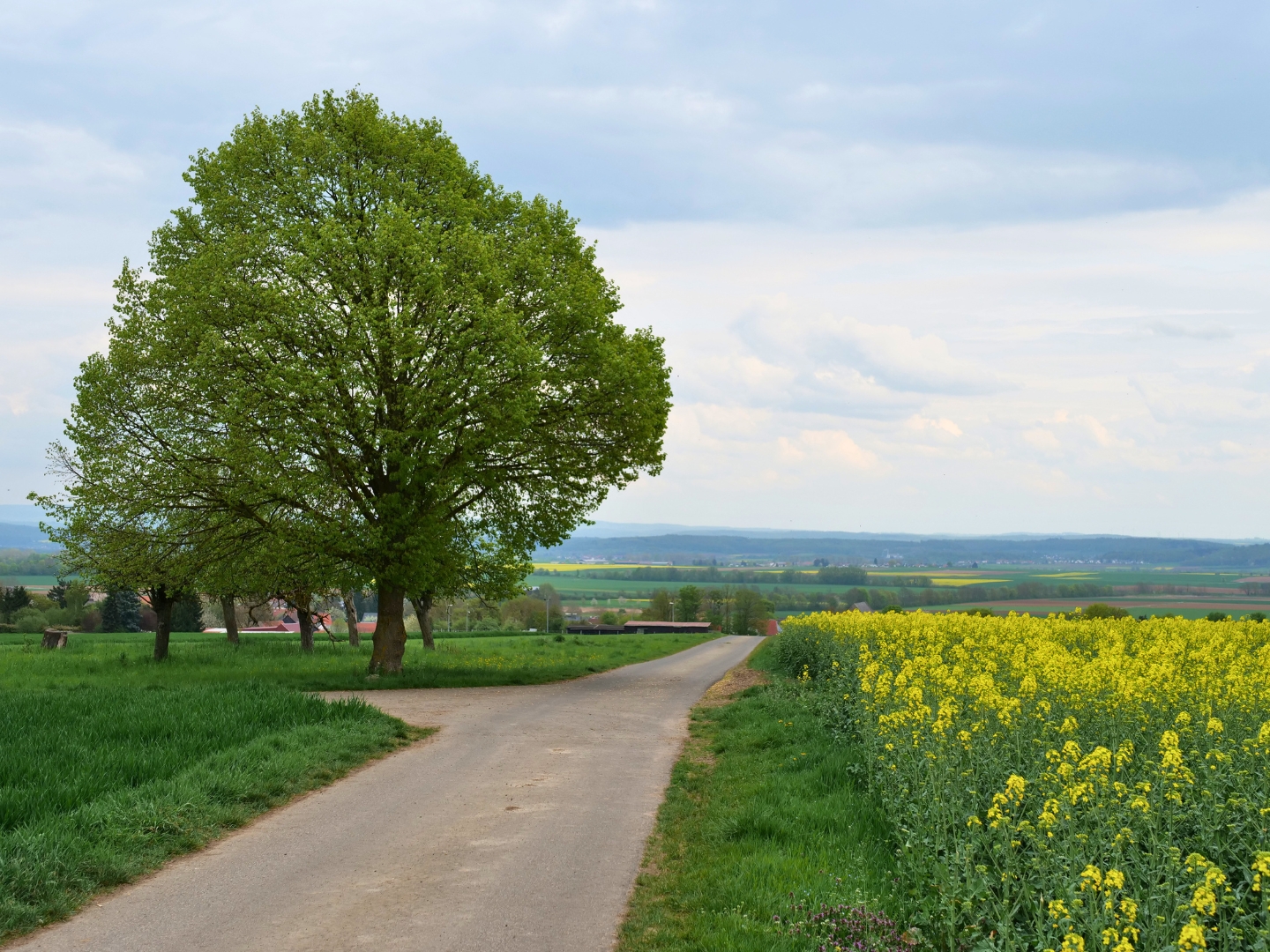 Obbornhofen