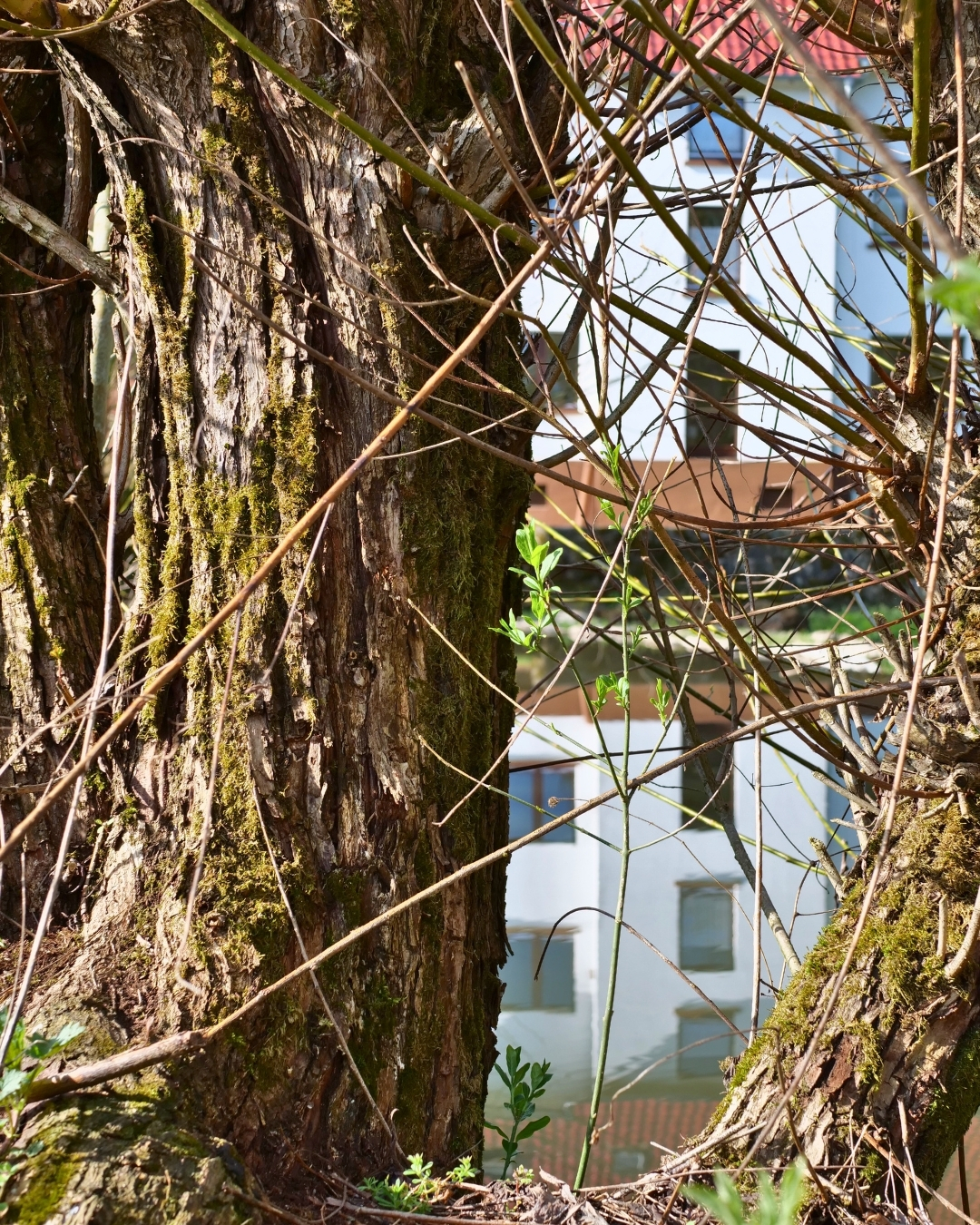 An der Wetter in Trais-Münzenberg.