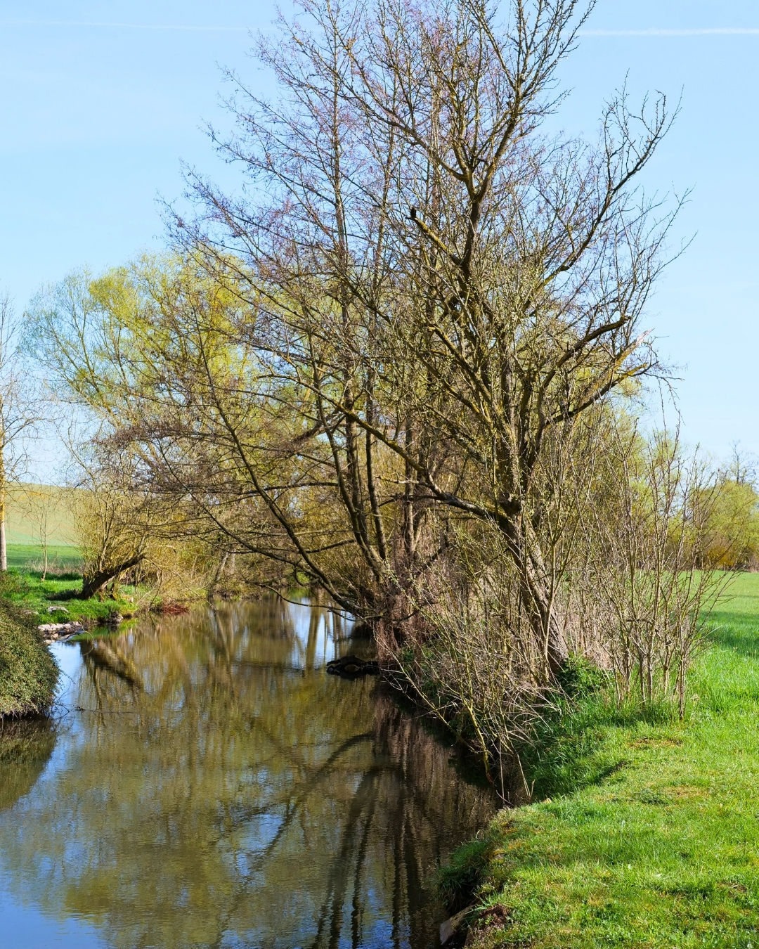 An der Wetter in Trais-Münzenberg.