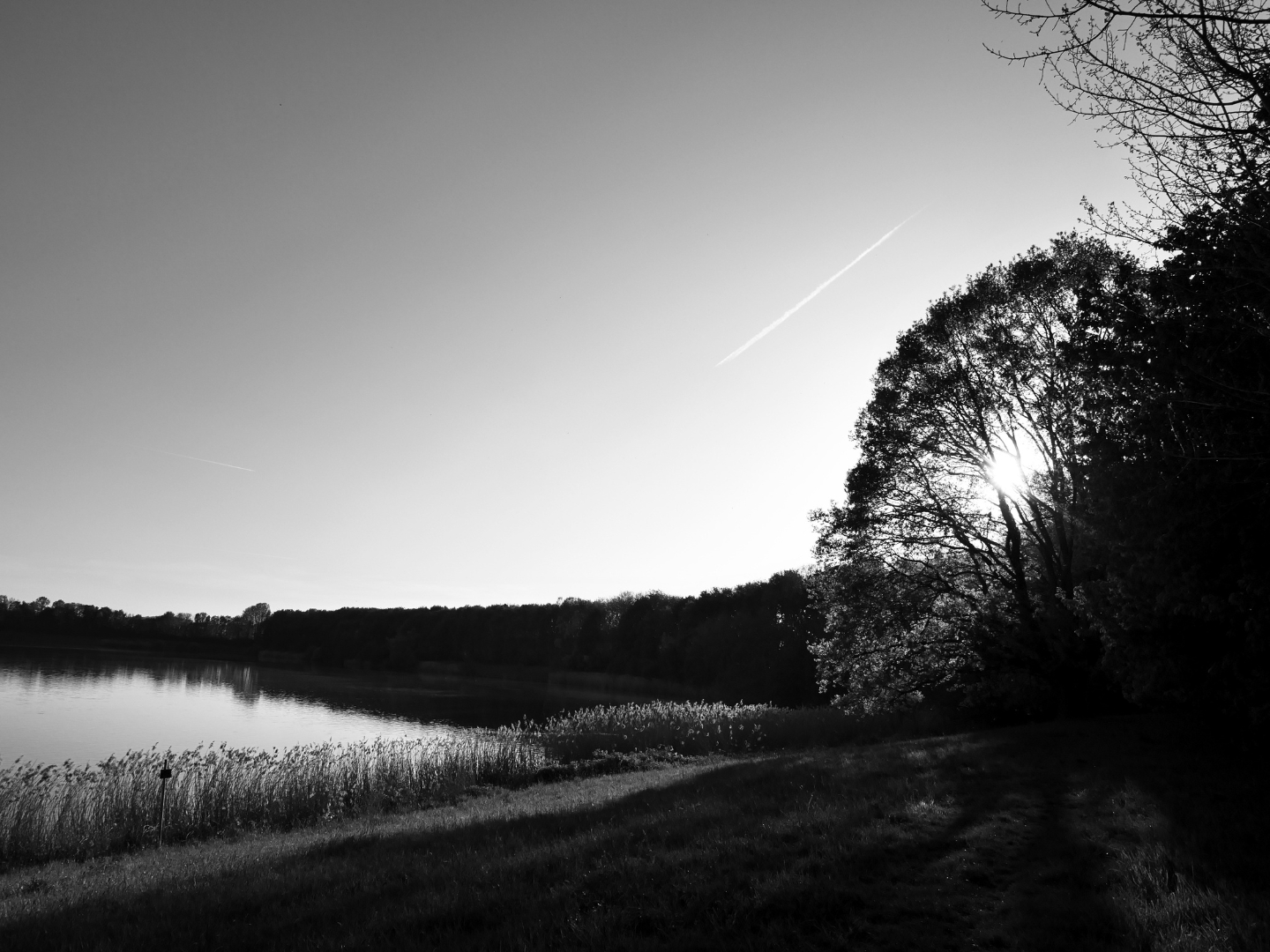 Bellersheim. Sachsensee. 