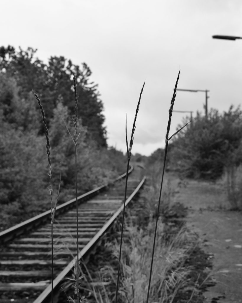 Alter Haltepunkt Obbornhofen–Bellersheim. (Horlofftalbahn)