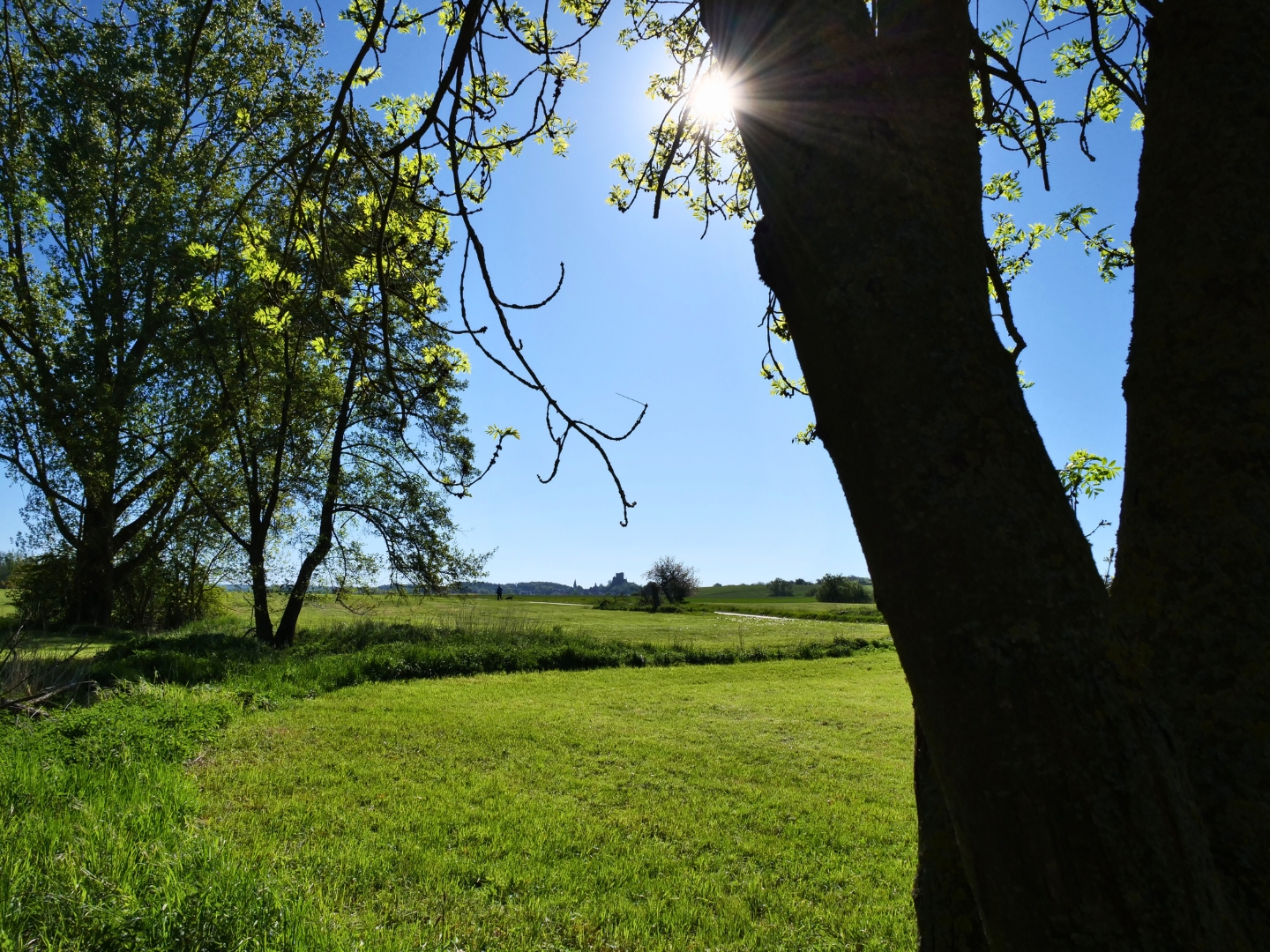 Bei Münzenberg. 