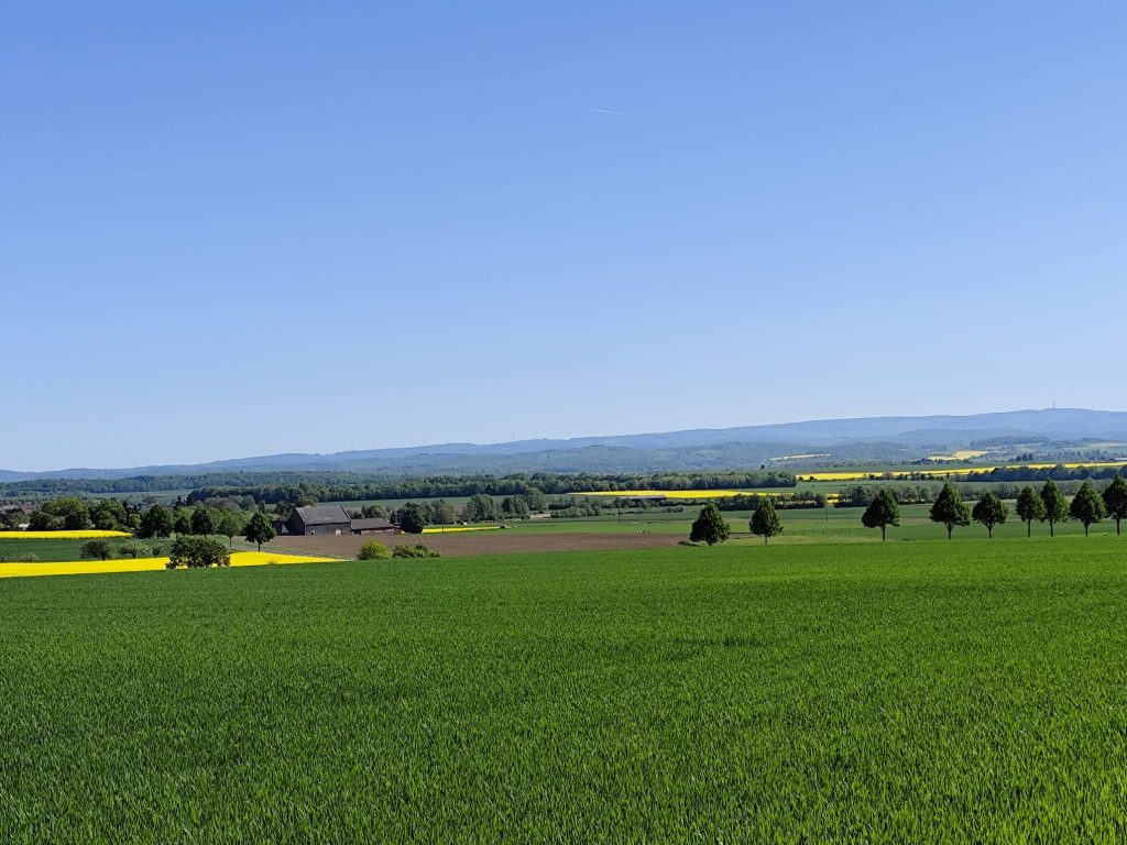Obbornhofen