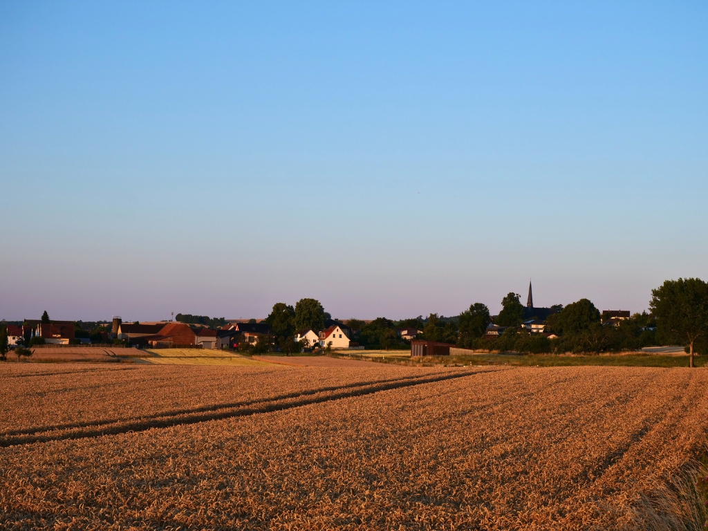 Obbornhofen