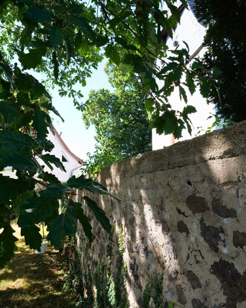 Sommerimpressionen an der evangelischen Kirche in Obbornhofen