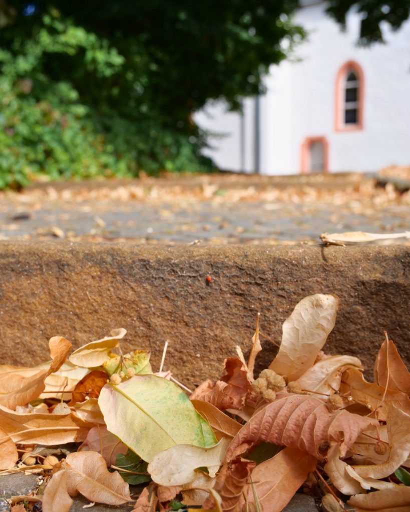 Sommerimpressionen an der evangelischen Kirche in Obbornhofen