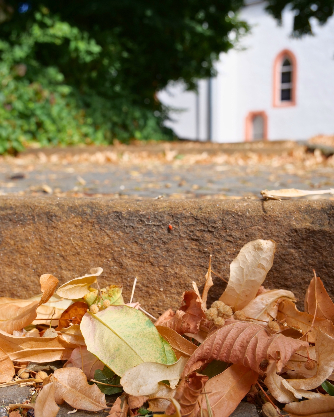Kirche. Obbornhofen.
