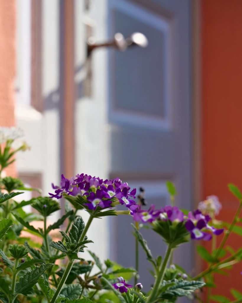 Sommerimpressionen an der evangelischen Kirche in Obbornhofen