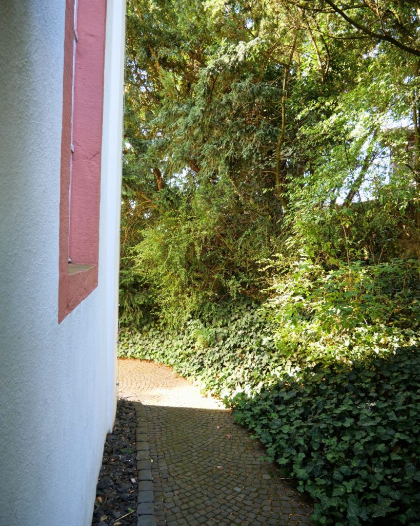 Sommerimpressionen an der evangelischen Kirche in Obbornhofen