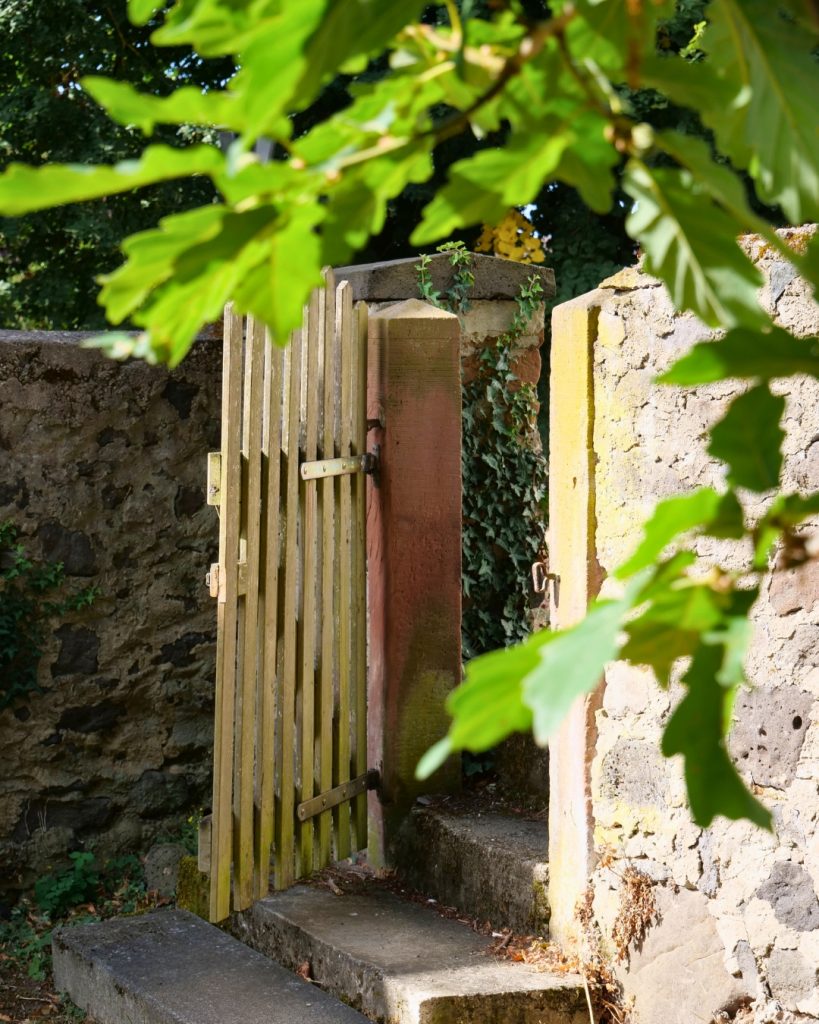 Sommerimpressionen an der evangelischen Kirche in Obbornhofen
